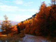 autunno