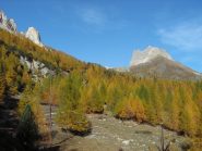 Colori autunnali  e i Serous