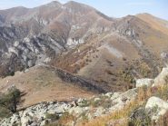 li sotto il colle del Besso con le caratteristiche trune