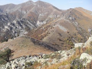 li sotto il colle del Besso con le caratteristiche trune