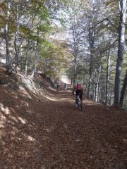 salendo verso Colle Colletto