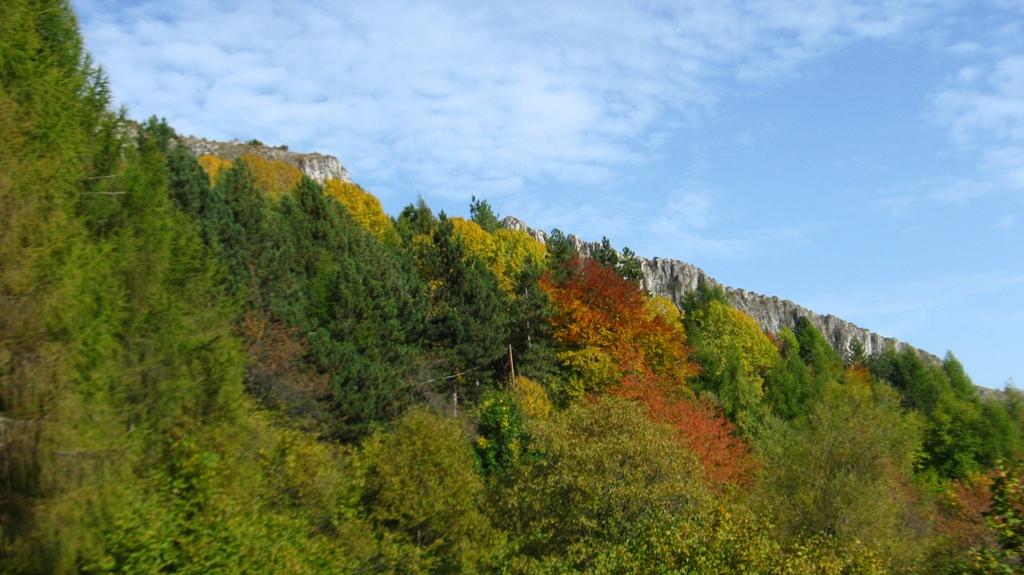 Bellissimi colori...