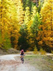 Salendo nella parte iniziale