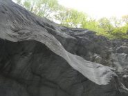 ingresso intermedio c50 da piante