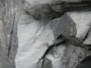 catena su singolo da rivedere + abalacof