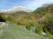 Colori d'Autunno