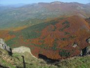 La foresta del Penna dalla vetta