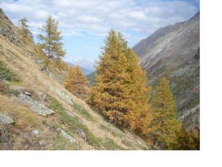 Quando l'autunno sprigiona il meglio di se..
