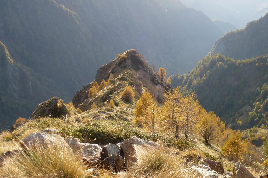 autunno quasi al massimo dei colori