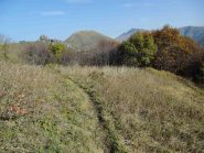 Single track verso la meta di oggi