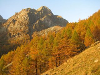 Monte Colombino visto dall'Alpe Prà Riund