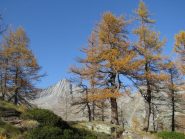 Colori d'autunno e Torre Lavina