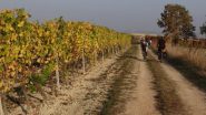sulle colline del rientro