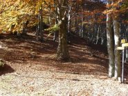 inizio del sentiero per il Monte Croce
