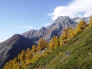 Colori autunnali