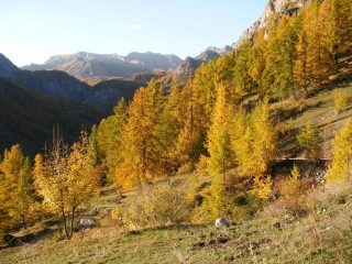 stupendi colori