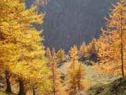 Autunno