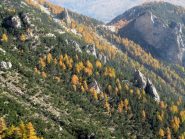 Autunno autunno autunno