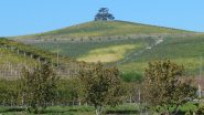 alla collina del cedro