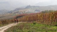 fra i vigneti