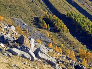 I tornanti del vecchio sentiero che sale da Noasca