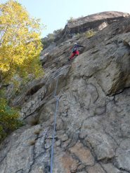 placche sempre molto belle