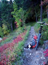 l'ultimo tratto del sentier valle prima della discesa a la Brigue
