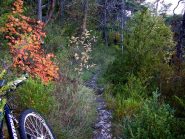 discesa per il colle di Peiremont