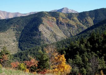 alla basse si aprono i panorami