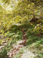 ma si passa ancora con divertimento