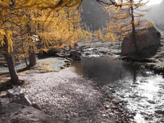 colorisul fiume
