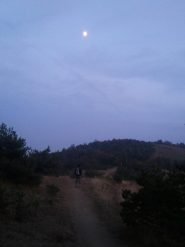 Davide in cammino