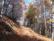 colori accesi e bella salita!