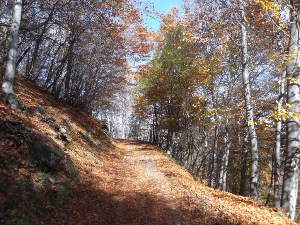 colori accesi e bella salita!