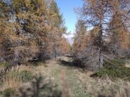 ancora molto facile!