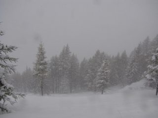 dicembre o ottobre?