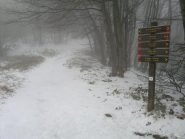 indicazioni dell'altavia, al passo del Faiallo