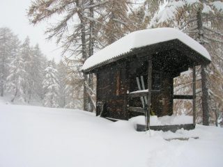 vetta