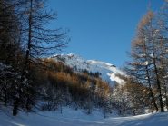 valloncello troppo carico