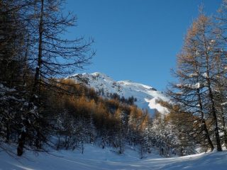 valloncello troppo carico