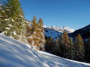 colori di fine autunno