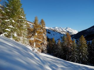colori di fine autunno