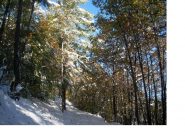 Autunno e inverno..qui' una cosa sola..