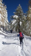 la strada prima del paravalanghe