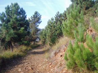 la strada sterrata iniziale