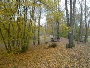 parco della Bessa