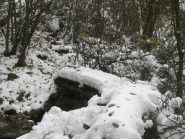 Attraversamento rio dell'Alpe Miaretto