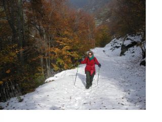 Con passo sicuro..verso la meta.