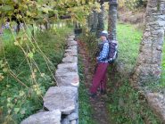 Tratto del sentiero 852 sotto i tupiun