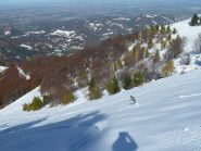 Sulla pista del Pineta